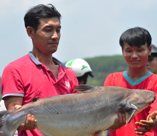 chân đập thủy điện